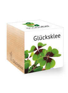 Produktbild fr 'ECOCUBE GLCKSKLEE'