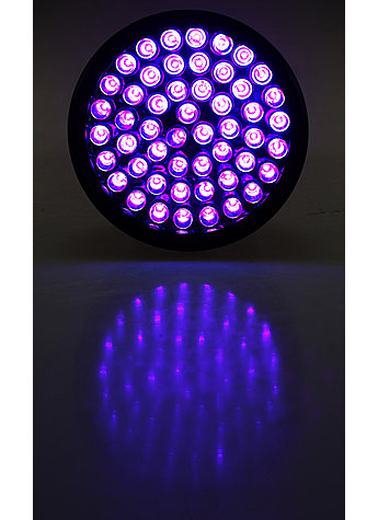 LED SCHWARZLICHT-TASCHENLAMPE Bild 5