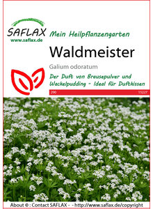 SAMEN WALDMEISTER