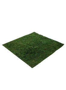 Produktbild fr Produktnummer 7776101