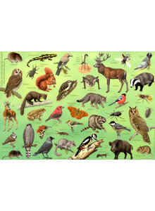Produktbild fr 'TISCHSET TIERE DES WALDES'