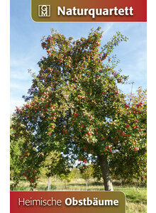 QUARTETT HEIMISCHE OBSTBUME