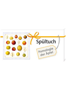 SPLTUCH POMOLOGIE DER PFEL Bild 3