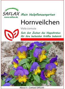 PFLANZENSAMEN HORNVEILCHEN-MIX