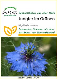 SAATGUT JUNGFER IM GRNEN