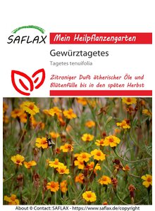 Auf diesem Bild sehen Sie das Produktbild fr SAMEN GEWRZTAGETES