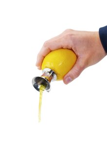 Auf diesem Bild sehen Sie das Produktbild fr ZITRONENAUSGIEER