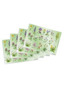 Auf diesem Bild sehen Sie das Produktbild fr TISCHSET WIESENBLUMEN 4ER-SET