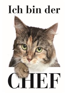 Auf diesem Bild sehen Sie das Produktbild fr BLECHSCHILD ICH BIN DER CHEF (KATZE) 20 x30 CM
