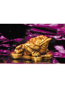 Auf diesem Bild sehen Sie das Produktbild f�r DREIBEINIGER GELDFROSCH