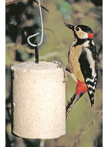 ERDNUSS-STANGE MIT INSEKTEN VOLLWERT ENERGIE-KUCHEN