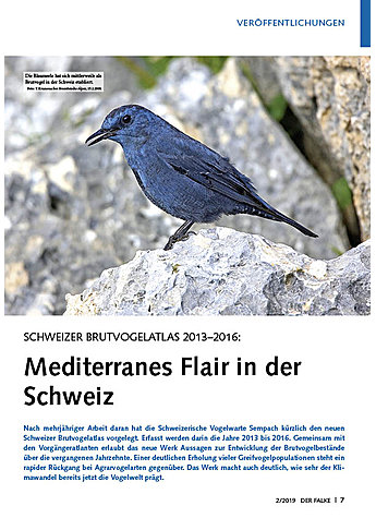 SCHWEIZER BRUTVOGELATLAS 2013- 2016: MEDITERRANES FLAIR IN DER SCHWEIZ