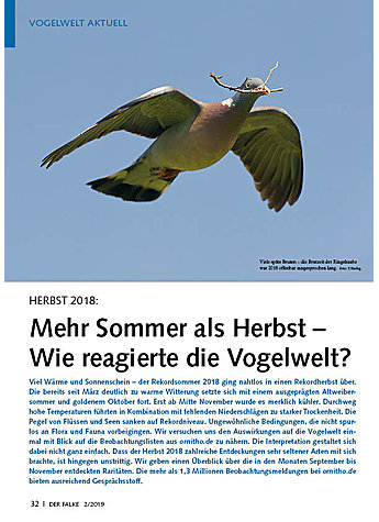 HERBST 2018: MEHR SOMMER ALS HERBST - WIE REAGIERTE DIE VOGELWELT