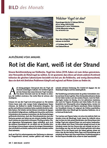 BILD DES MONATS: AUFLSUNG VOM JANUAR: ROT IST DIE KANT, WEI IST DER STRAND