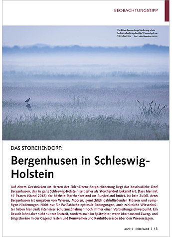 DAS STORCHENDORF: BERGENHUSEN IN SCHLESWIG-HOLSTEIN