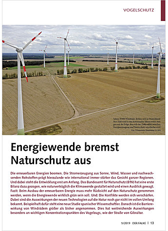 ENERGIEWENDE BREMST NATURSCHUTZ AUS