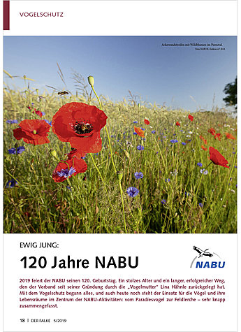 EWIG JUNG: 120 JAHRE NABU