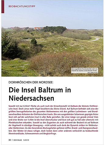 DORNRSCHEN DER NORDSEE: DIE INSEL BALTRUM IN NIEDERSACHSEN