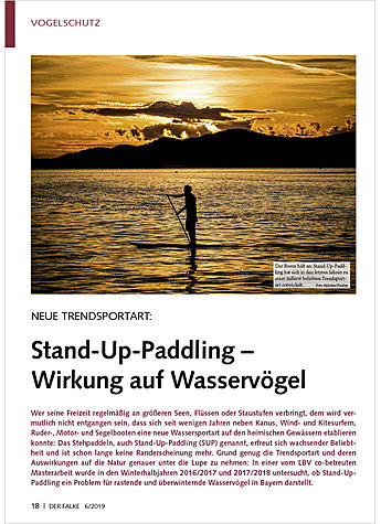 NEUE TRENDSPORTART: STAND-UP- PADDLING - WIRKUNG AUF WASSER- VGEL