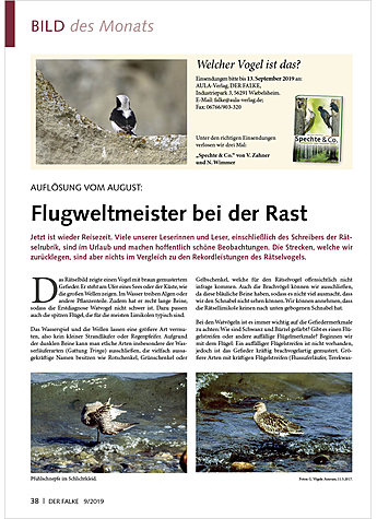 Produktbild fr Produktnummer FA190908
