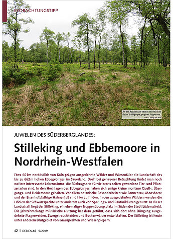 Produktbild fr Produktnummer FA190909