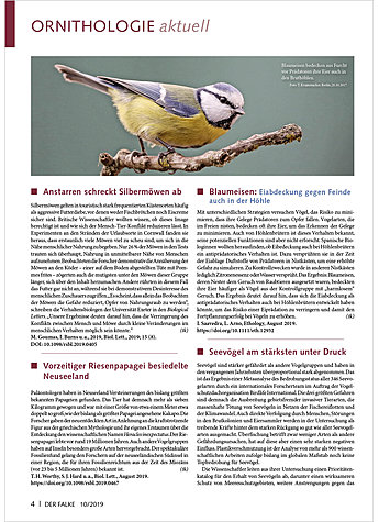 ORNITHOLOGIE AKTUELL OKTOBER