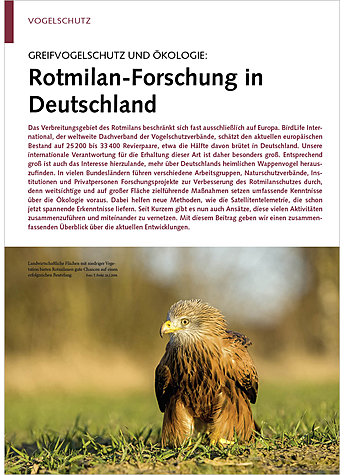 GREIFVOGELSCHUTZ UND ÖKOLOGIE: ROTMILAN-FORSCHUNG IN DEUTSCH LAND