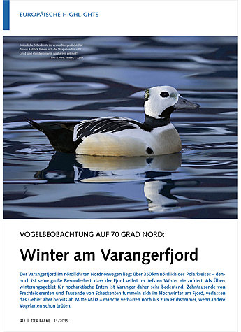 VOGELBEOBACHTUNG AUF 70 GRAD NORD: WINTER AM VARANGERFJORD