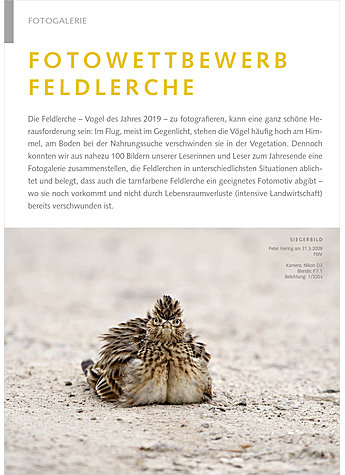 FOTOGALERIE: FOTOWETTBEWERB FELDLERCHE