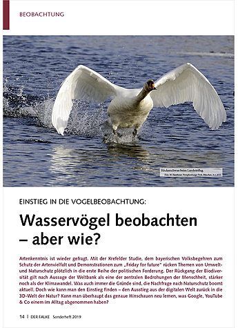 EINSTIEG IN DIE VOGELBEOBACH- TUNG: WASSERVGEL BEOBACHTEN - ABER WIE?