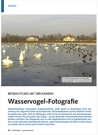 BEOBACHTUNG MIT DER KAMERA: WASSERVOGEL-FOTOGRAFIE