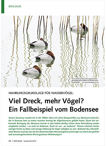 NAHRUNGSGRUNDLAGE FR WASSER- VGEL: VIEL DRECK, MEHR VGEL? EIN FALLBEISPIEL VOM BODENSEE