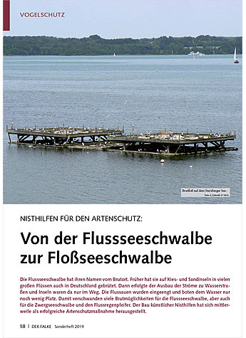 NISTHILFEN FR DEN ARTENSCHUTZ : VON DER FLUSSSEESCHWALBE ZUR FLOSSSEESCHWALBE