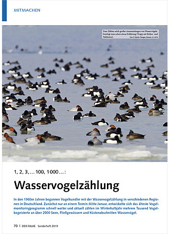 1, 2, 3, ... 100, 1000 ...: WASSERVOGELZHLUNG