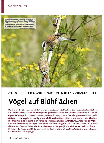 Produktbild fr Produktnummer FA200103