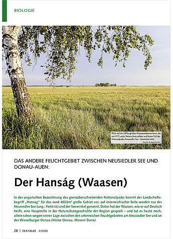 DAS ANDERE FEUCHTGEBIET ZWISCH EN NEUSIEDLER SEE UND DONAU- AUEN: DER HANSG (WAASEN)