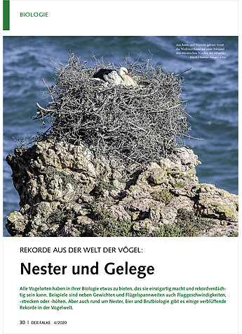 REKORDE AUS DER WELT DER VGEL NESTER UND GELEGE