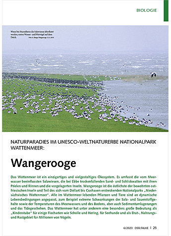 NATURPARADIES IM UNESCO-WELT NATURERBE NATIONALPARK WATTEN MEER: WANGEROOGE