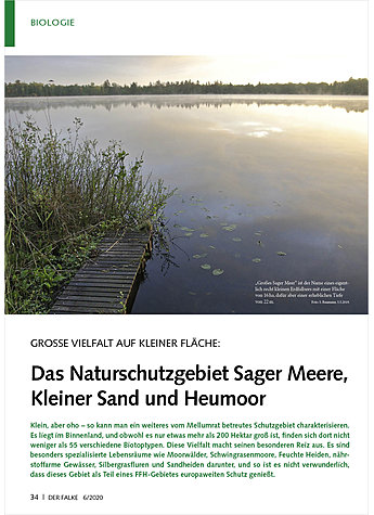 GROSSE VIELFALT AUF KLEINER FLCHE: NATURSCHUTZGEBIET SAGE R MEERE, KLEINER SAND, HEUMOOR