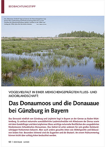 DAS DONAUMOOS UND DIE DONAUAUE BEI GNZBURG IN BAYERN