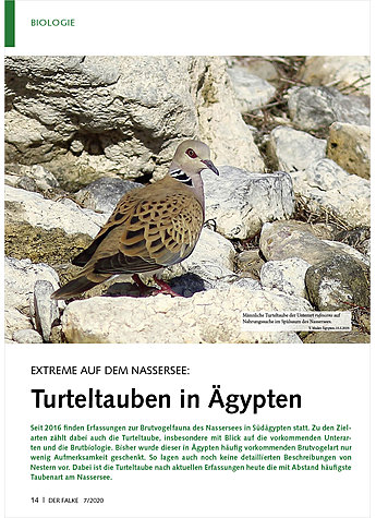 Produktbild fr Produktnummer FA200702