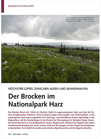 HCHSTER GIPFEL ZWISCHEN ALPEN UND SKANDINAVIEN: DER BROCKEN IM NATIONALPARK HARZ