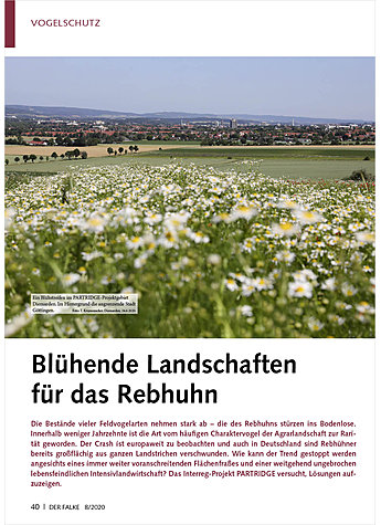 BLHENDE LANDSCHAFTEN FR DAS REBHUHN