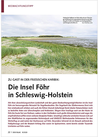 ZU GAST IN DER FRIESISCHEN KARIBIK: DIE INSEL FHR IN SCHLESWIG-HOLSTEIN