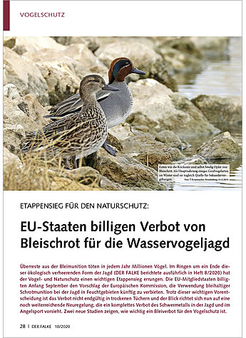 ETAPPENSIEG: EU-STAATEN BILLIG EN VERBOT  VON BLEISCHROT FR DIE WASSERVOGELJAGD