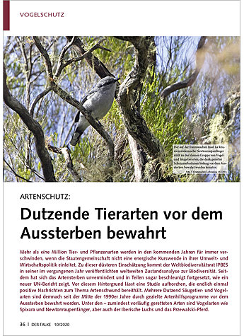 Produktbild fr Produktnummer FA201007