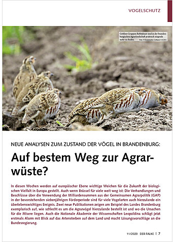 NEUE ANALYSEN ZUM ZUSTAND DER VGEL IN BRANDENBURG: AUF BEST EM WEG ZUR AGRARWSTE?