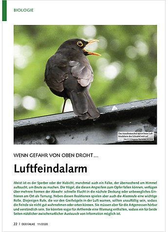 Produktbild fr Produktnummer FA201103
