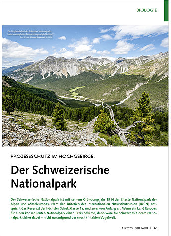 PROZESSSCHUTZ IM HOCHGEBIRGE: DER SCHWEIZERISCHE NATIONAL PARK