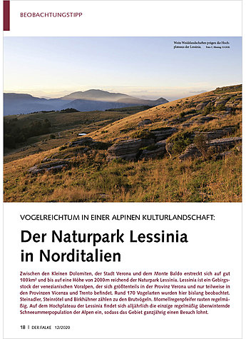 VOGELREICHTUM IN EINER ALPINEN KULTURLANDSCHAFT DER NATURPARK LESSINIA IN NORDITALIEN